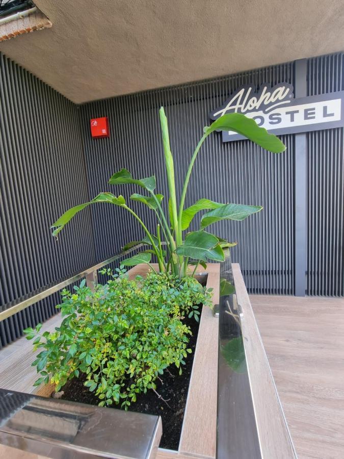 Aloha Surf Hostal *
