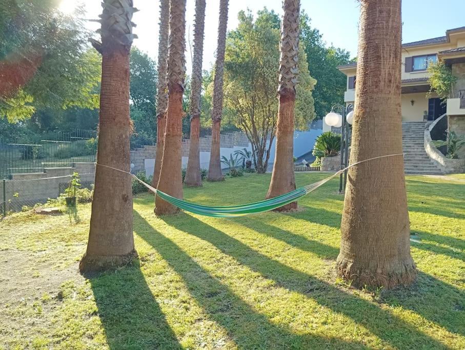 Casa Nora