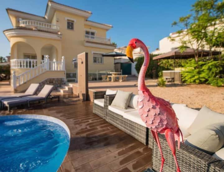 Apartamento Casita Pequena Flamenca Private Pool Sleeps 6 Ciudad Quesadastunning Location *