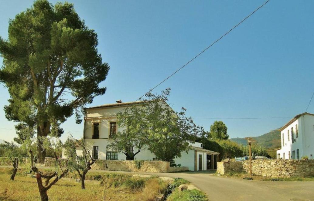 Apartment El Pino *