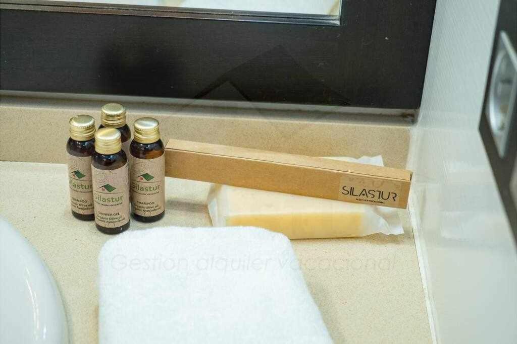 Duplex Galiana Apartment Aviles