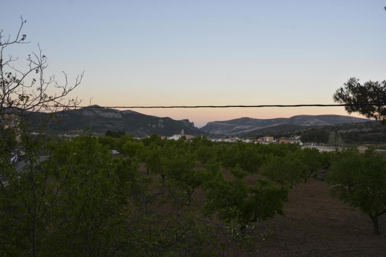 El Pino *