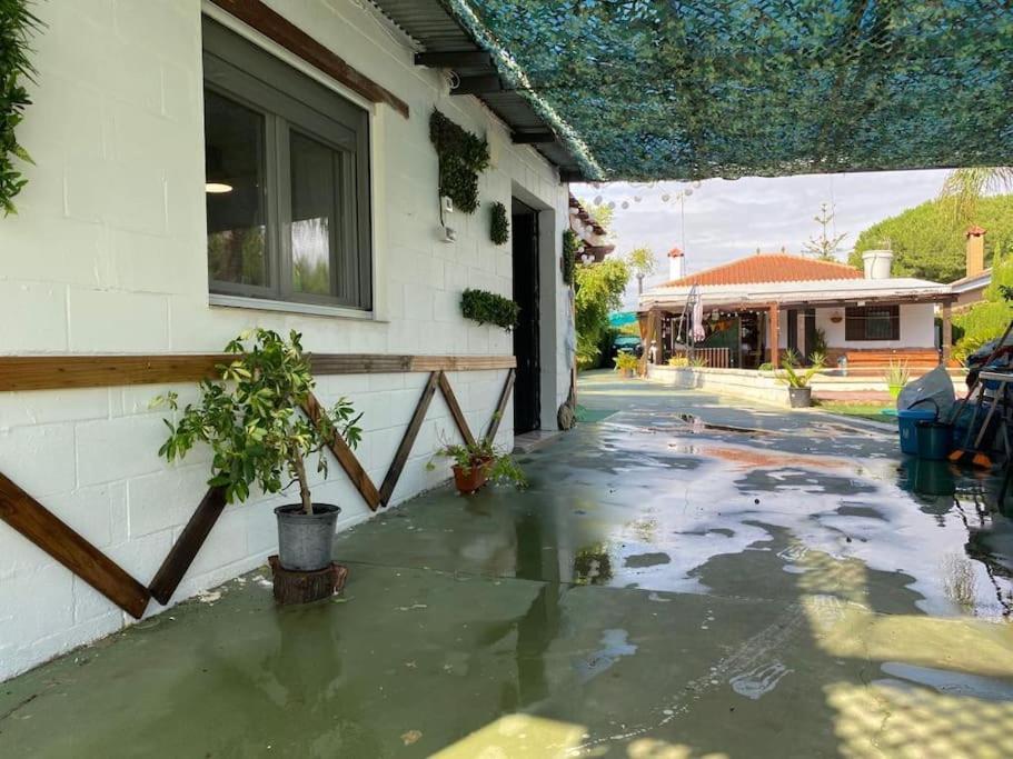 Apartamento With Shared Pool. Coria del Río