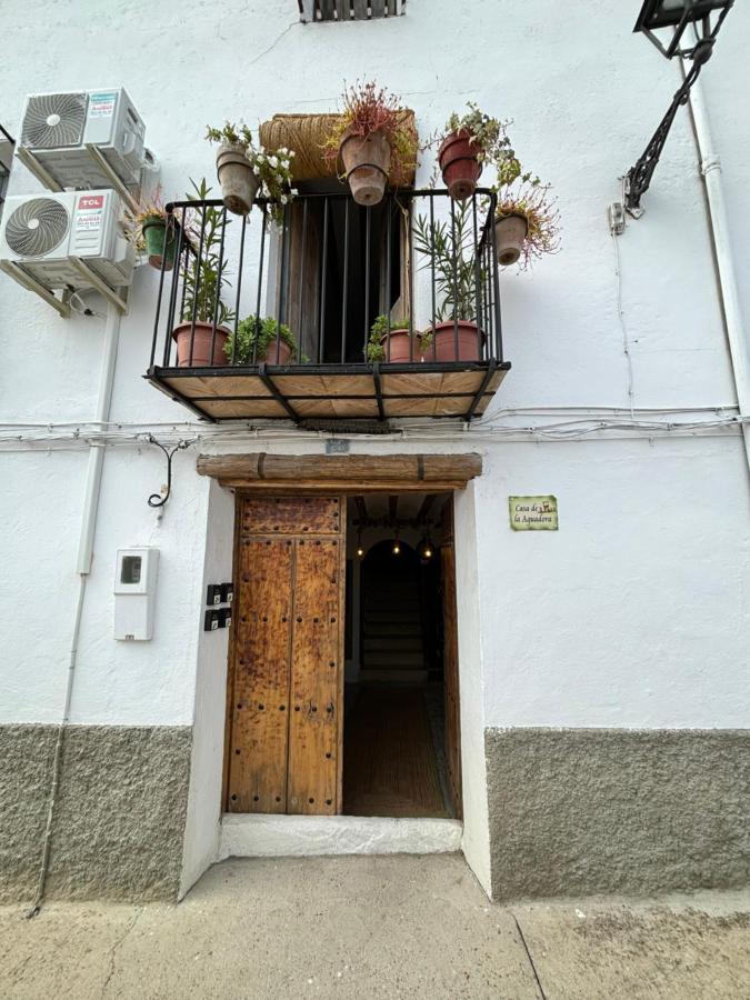 Manzanilla *