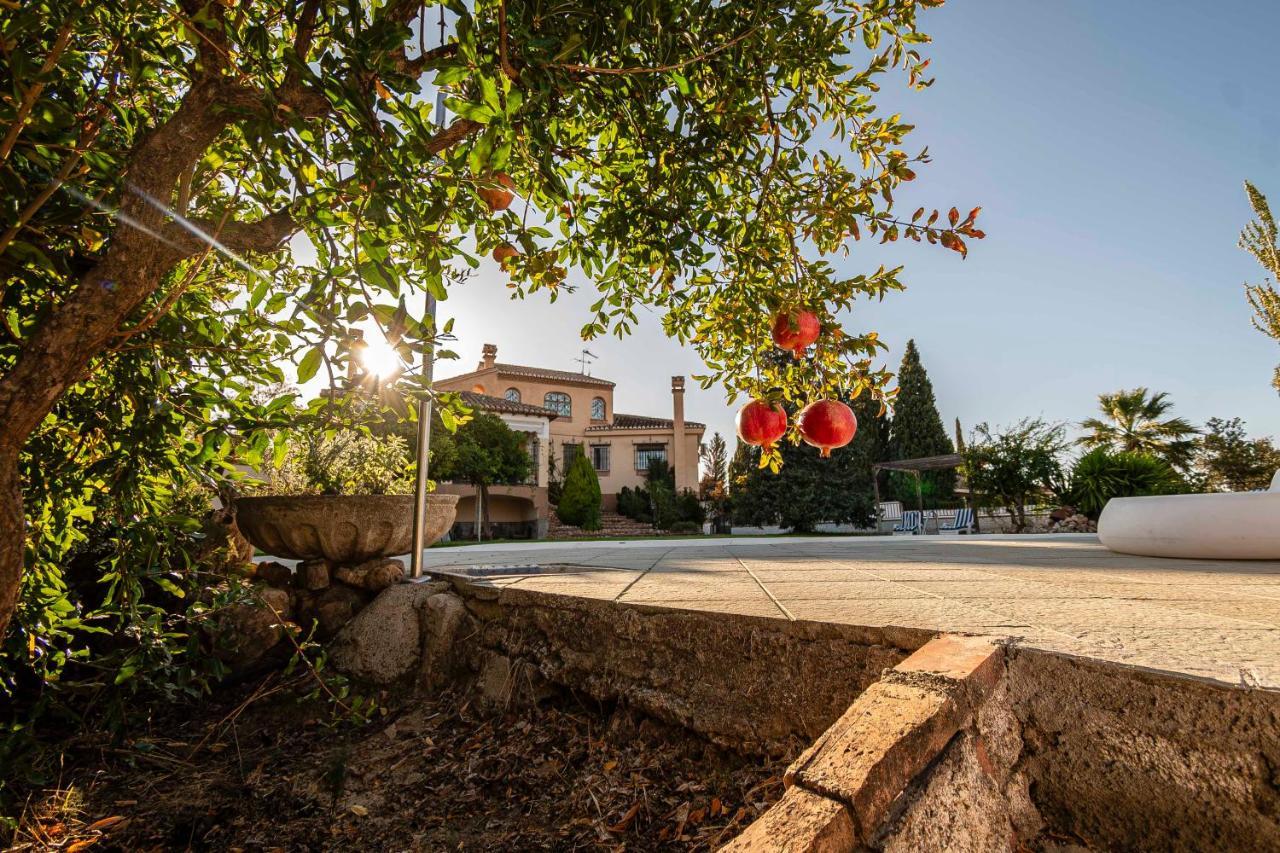 Cortijo De La Vega Holiday home