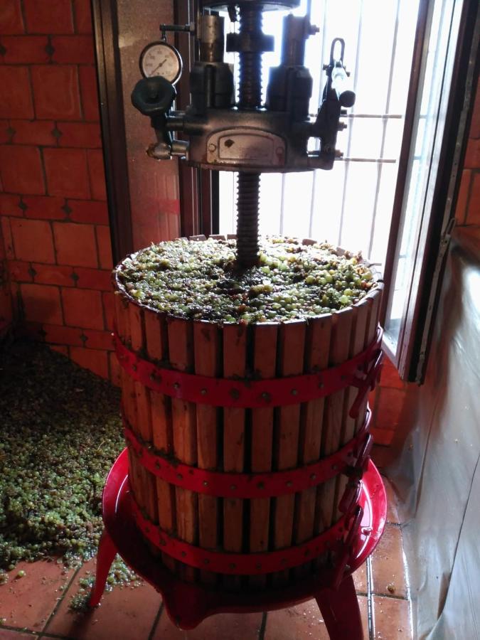 La Bodega, Ofrece Cata De Vino Gratis Apartment