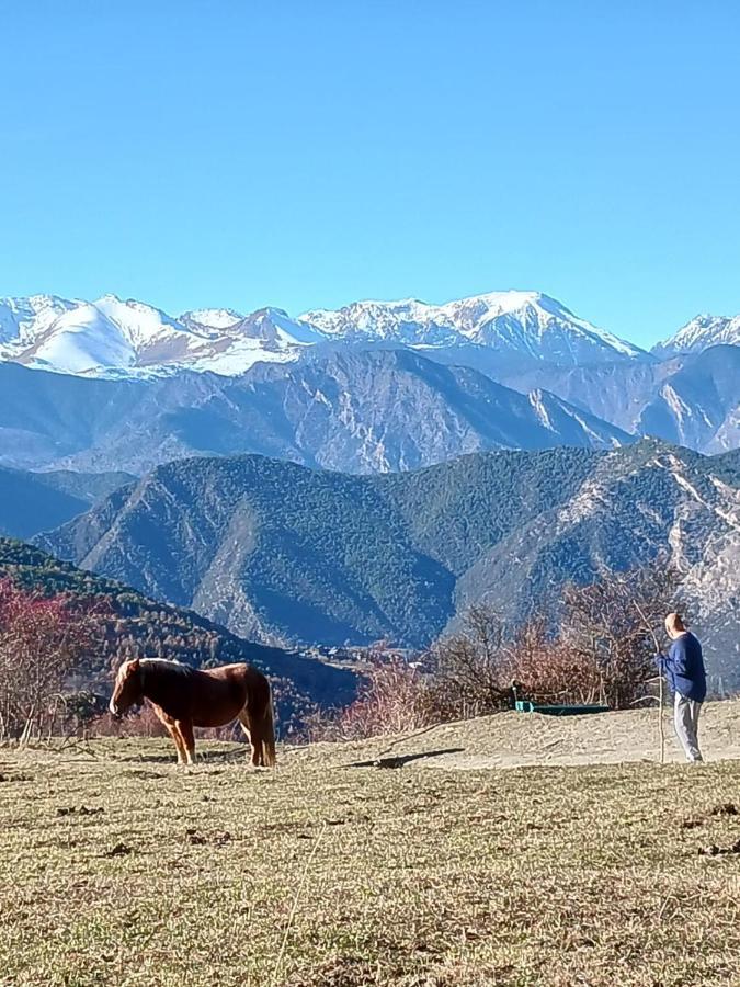 Espectacular De Montana Pirineos, * Burg