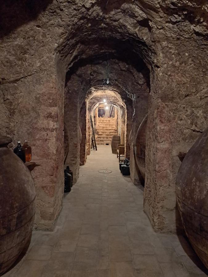 Apartment La Bodega, Ofrece Cata De Vino Gratis