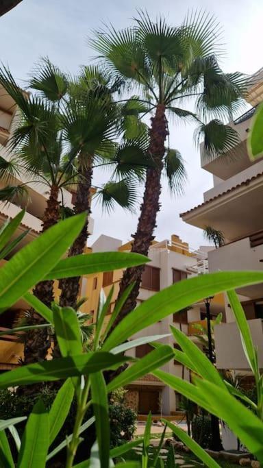 Olivia Sunny 2 Bedroom Punta Prima Torrevieja