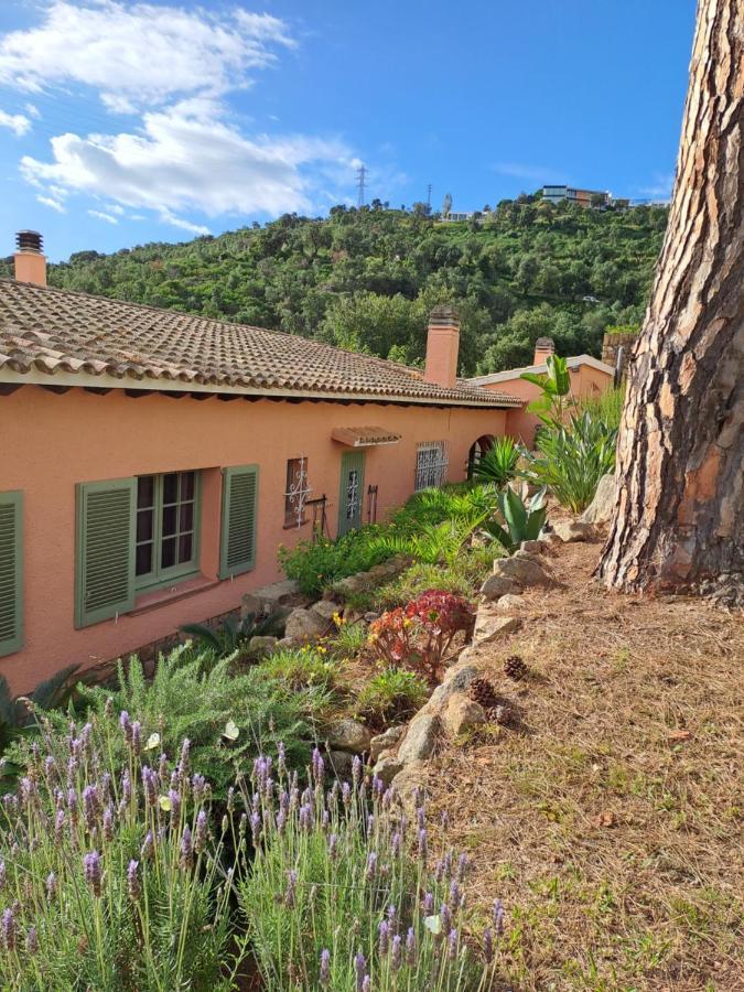 Villa La Casa Celestial Platja d'Aro