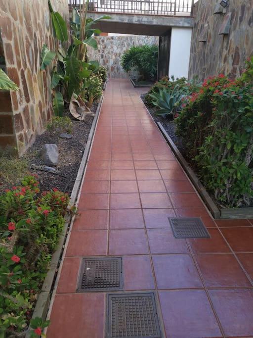 Apartamento Amaore, Paz, Hogar Y Playa