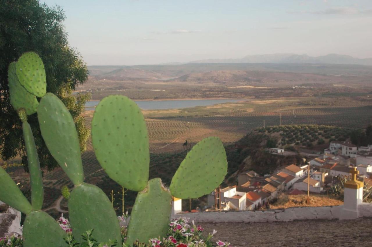Maestre Holiday home *