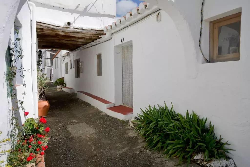 Apartamento Cortijo Grande