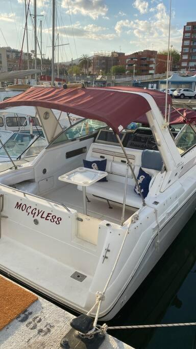 Barco Acogedor En El Puerto Del