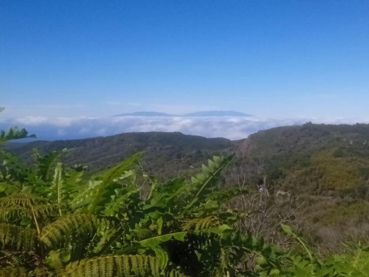 Amaore, Paz, Hogar Y Playa