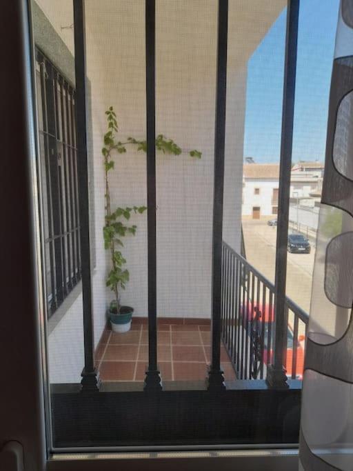 Casa Acogedora El Carpio, Cordoba Сasa de vacaciones El Carpio