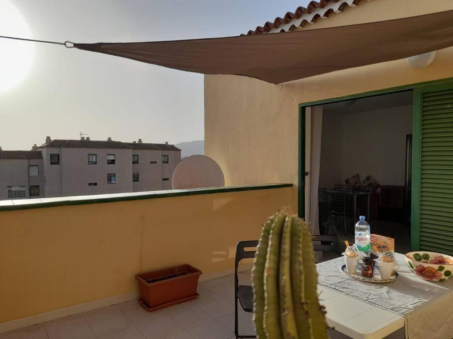 Apartment Amarilla Terrace *
