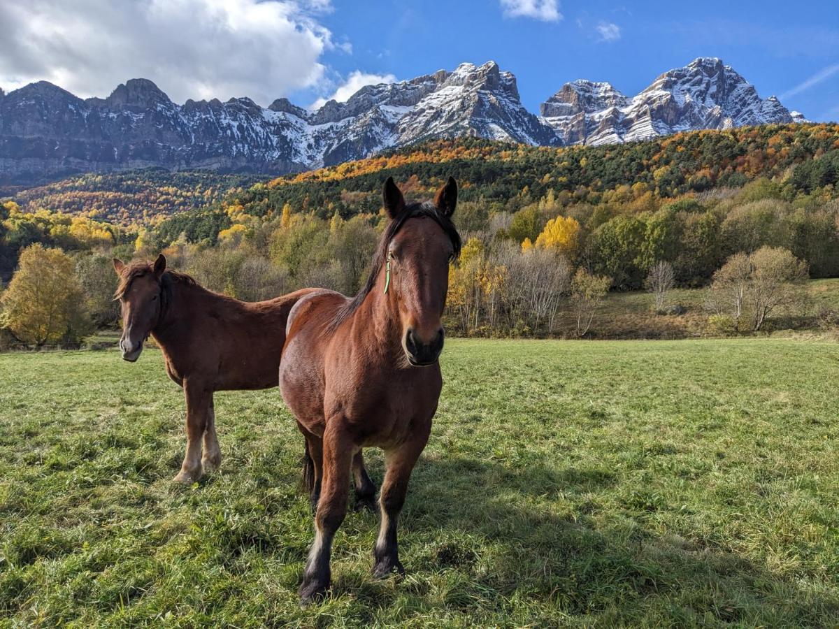 Nornore: Casa Especial En La Montana Сasa de vacaciones
