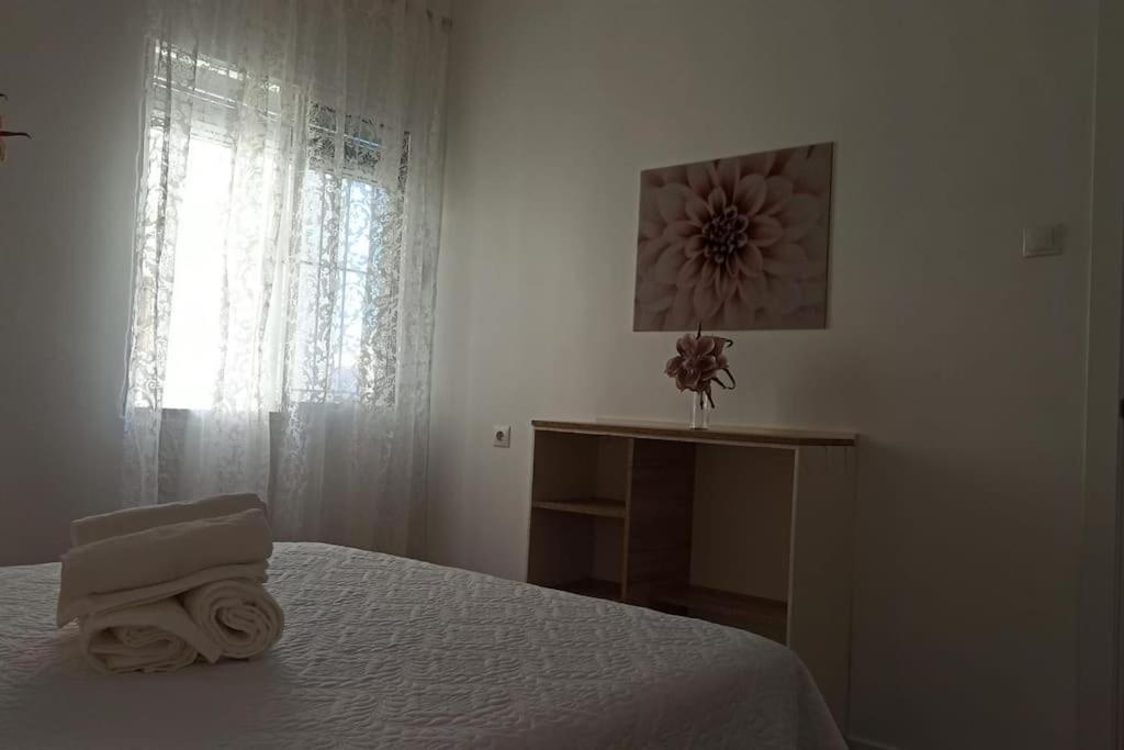 Acogedor Piso Centro, San Miguel Apartment *