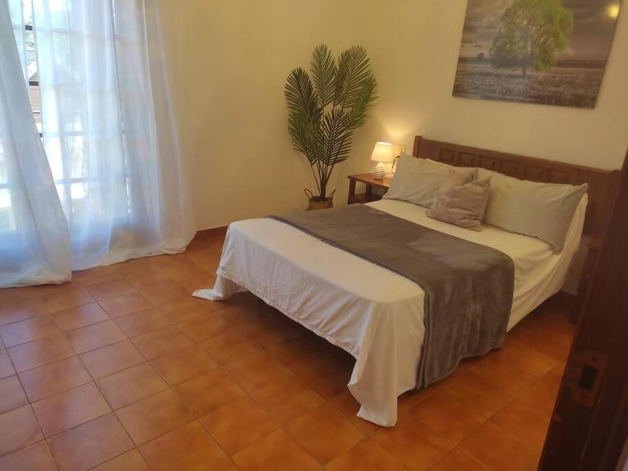 Holiday home Masia *
