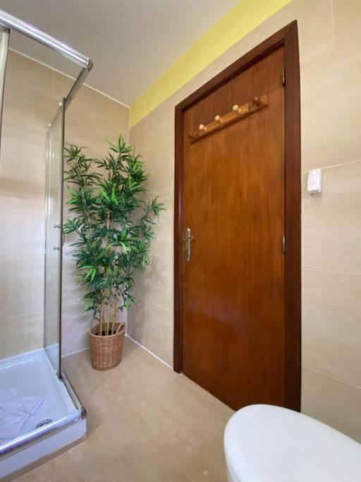 Apartamento El Olivar Paraiso Playa Parque Holandes