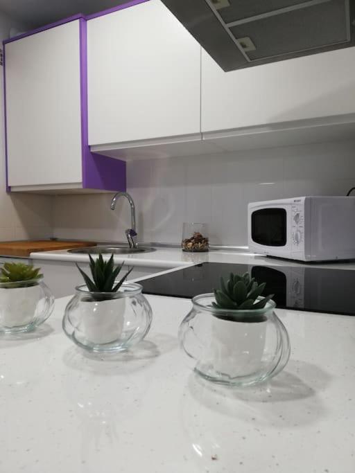 Apartment Confortable Piso Acuarela Junto Centro Ciudad Valladolid