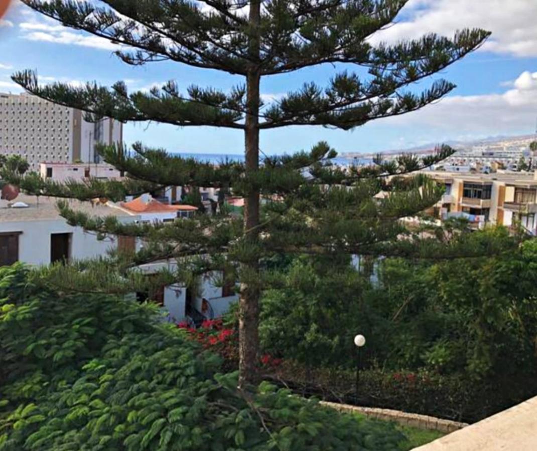 Americas Best-suite -ampio Con Vista, Giardino E Piscina Apartamento Playa de las Américas