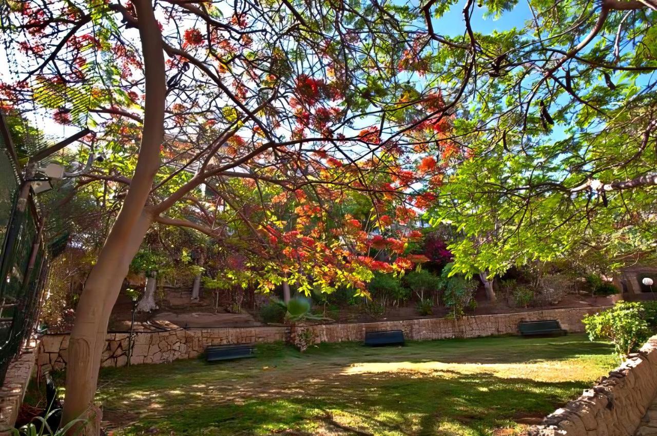 Americas Best-suite -ampio Con Vista, Giardino E Piscina Apartamento