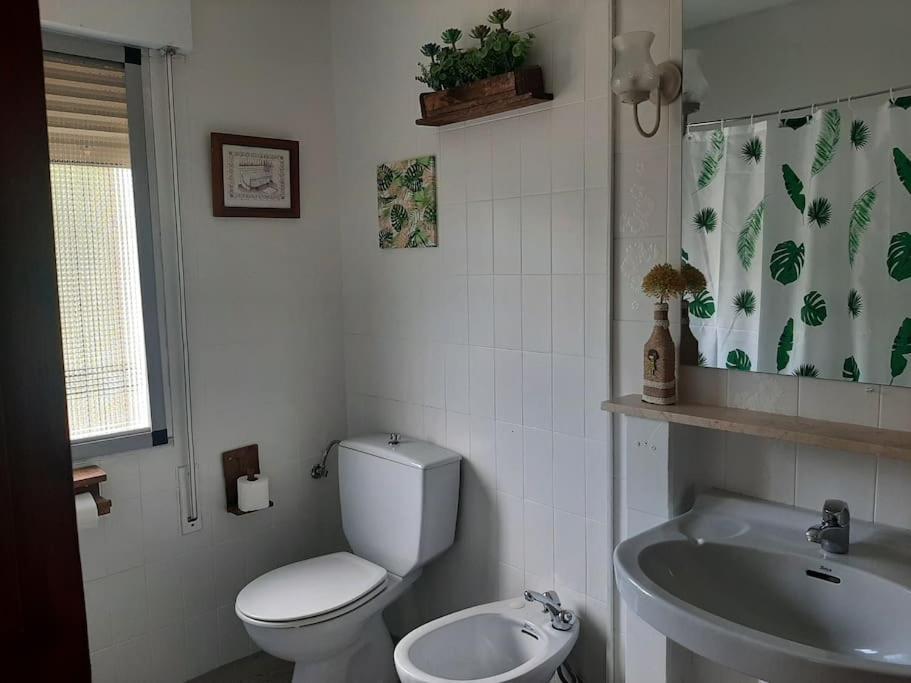 Casa Balta Holiday home