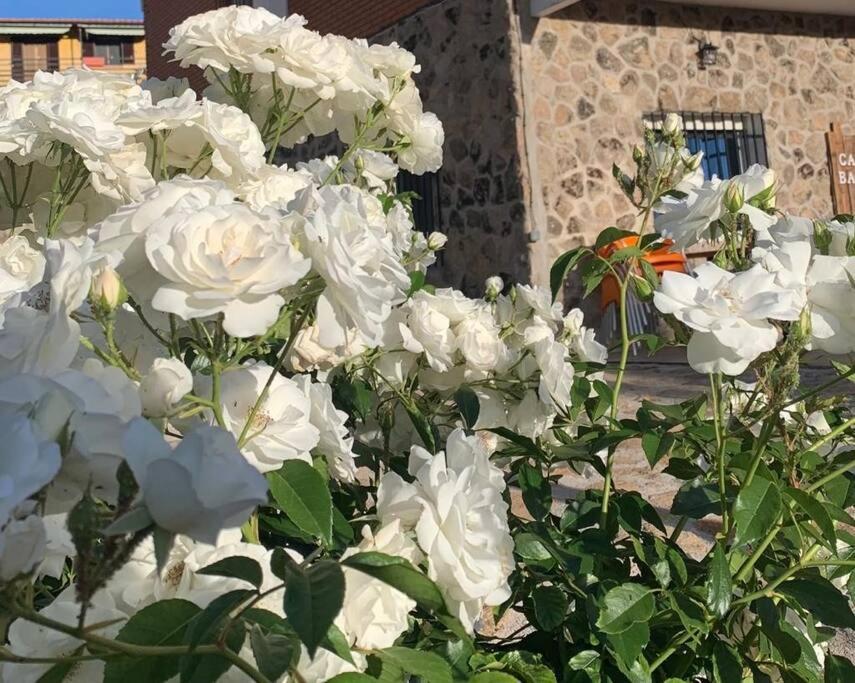Casa Balta Holiday home Avila