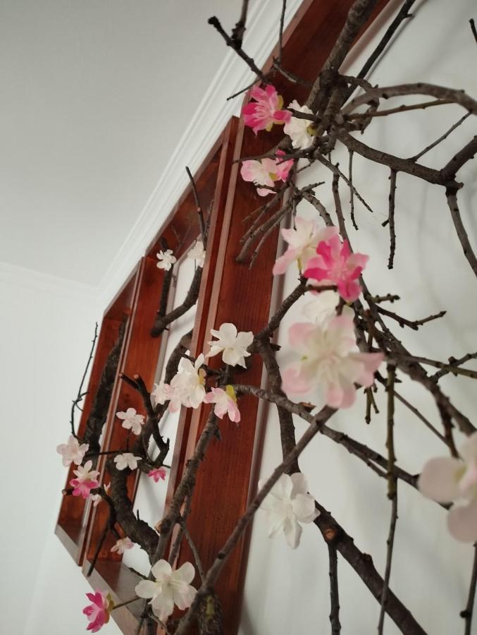 La Ponderosa Apartamento Sanlúcar de Barrameda