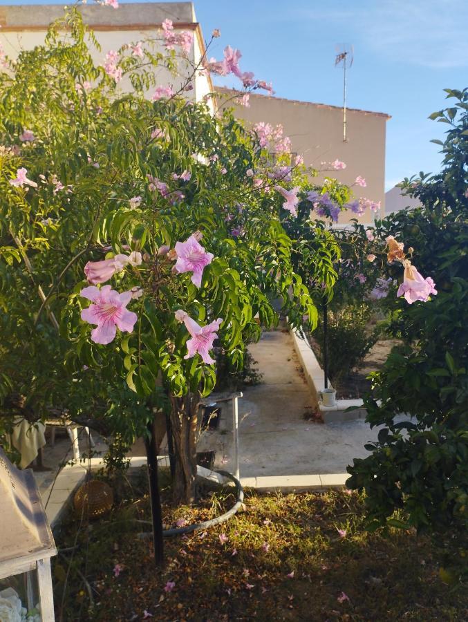 Apartamento La Fabriqueta Riudecanyes