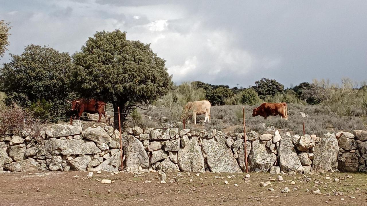 Granja De San Antonio Apartamento