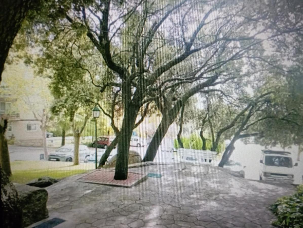 Apartamento Granja De San Antonio *