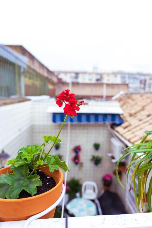 Casa La Plateria Holiday home *