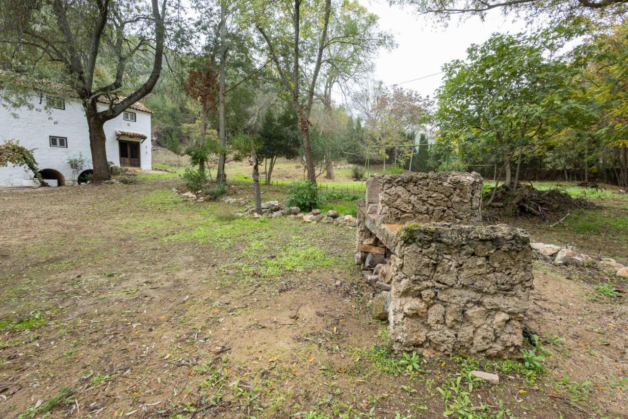 Molino De Gris Cazorla *