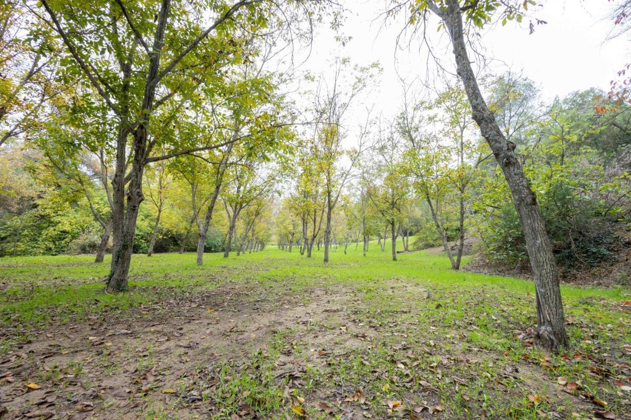 Сasa de vacaciones Molino De Gris Cazorla