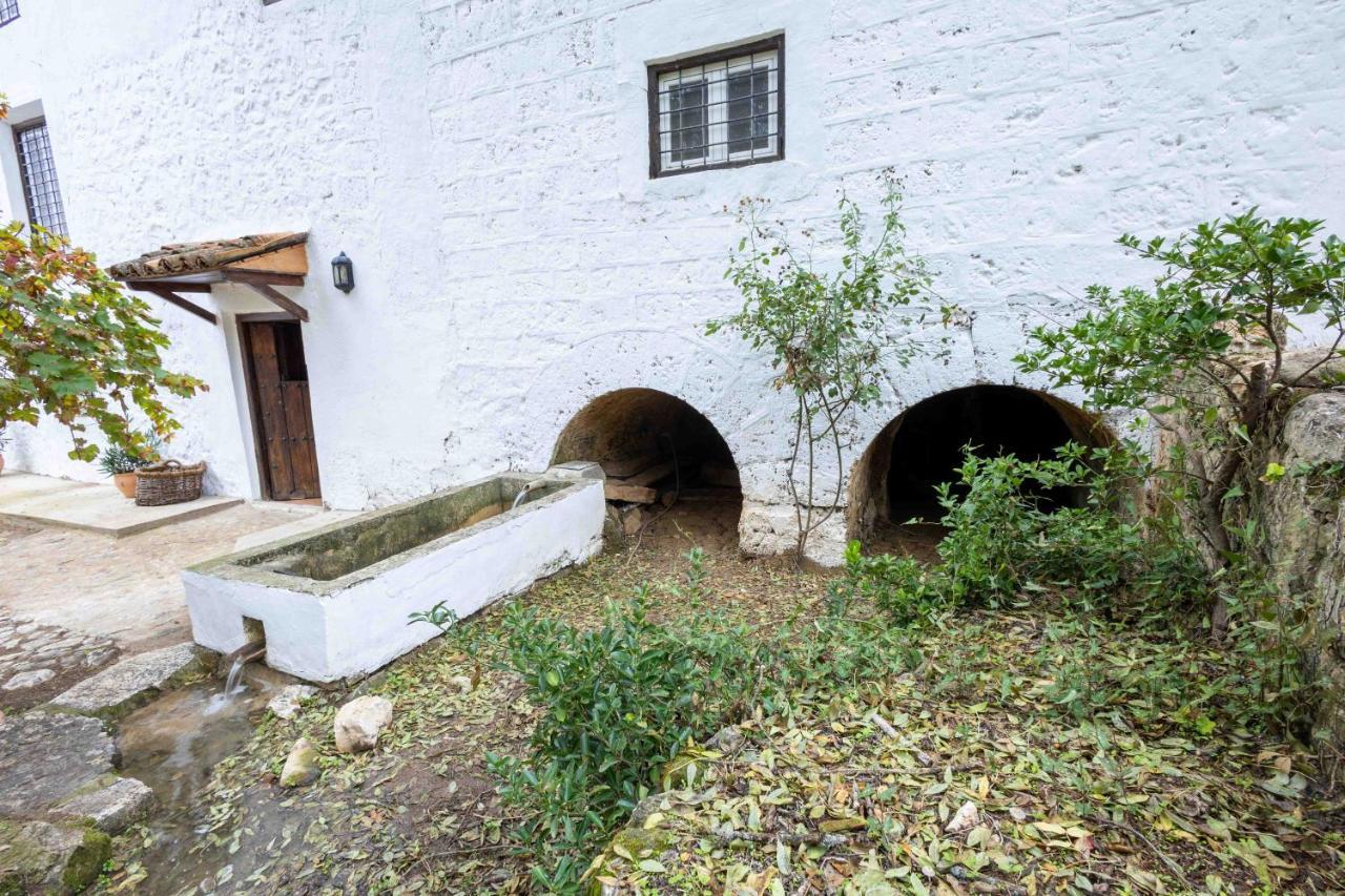 Molino De Gris Cazorla * Chilluevar