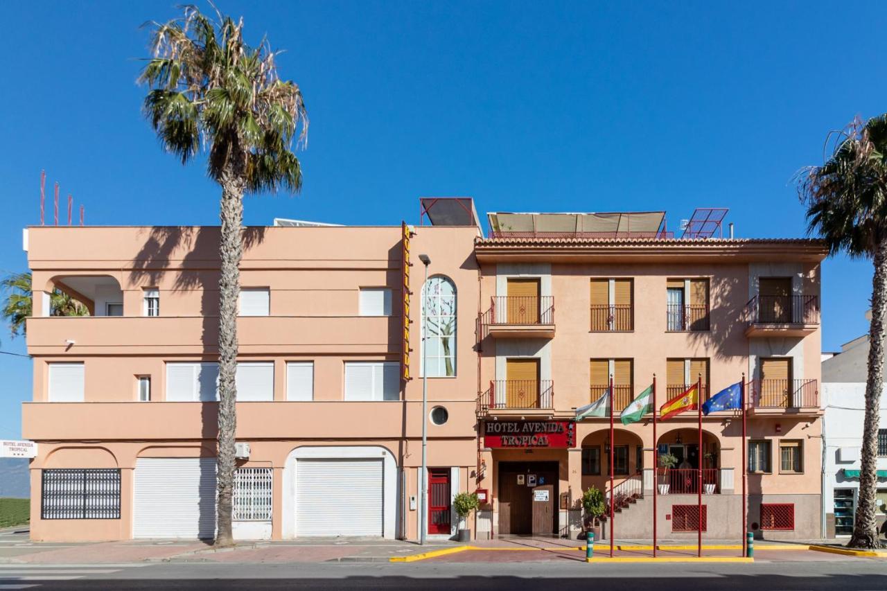 Avenida Tropical Hotel