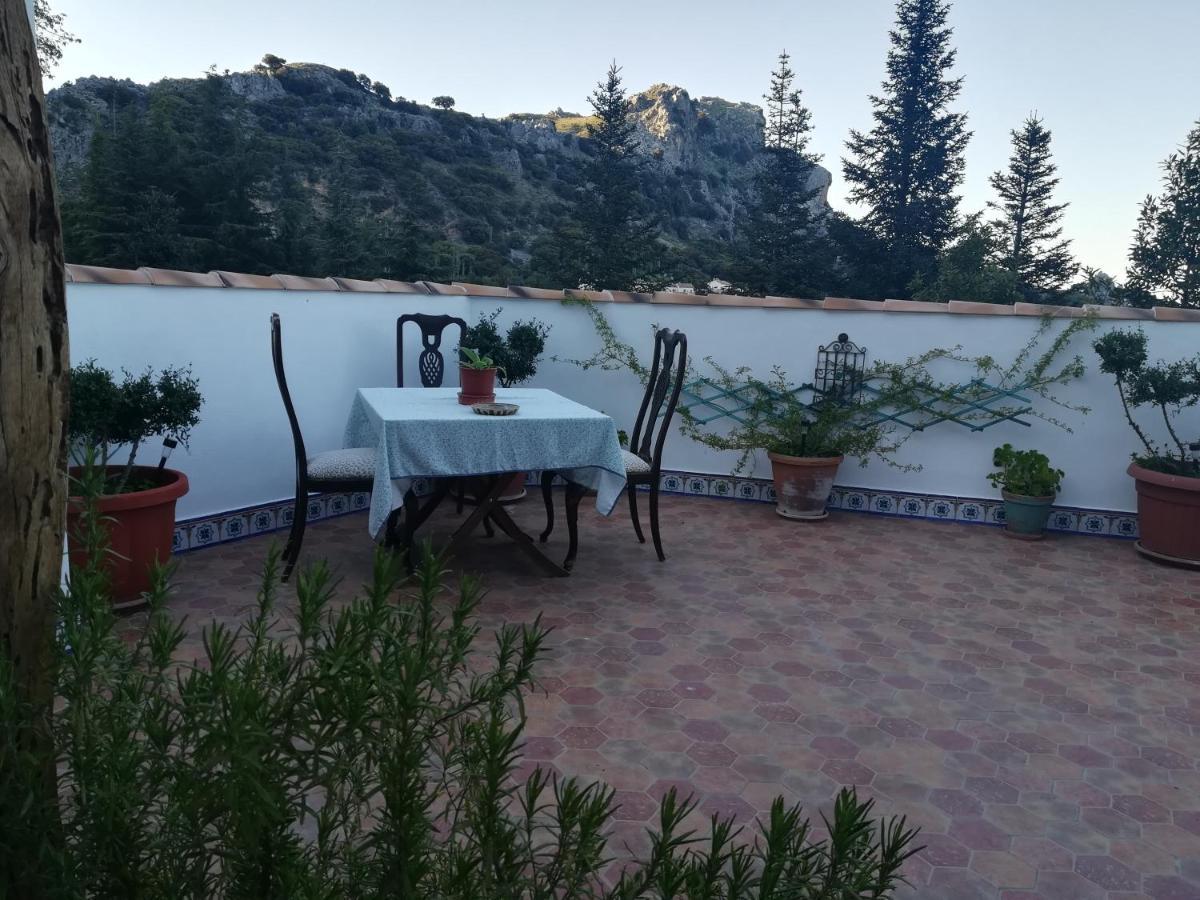 Hospederia Y Aptos Casa De Piedras Pensión