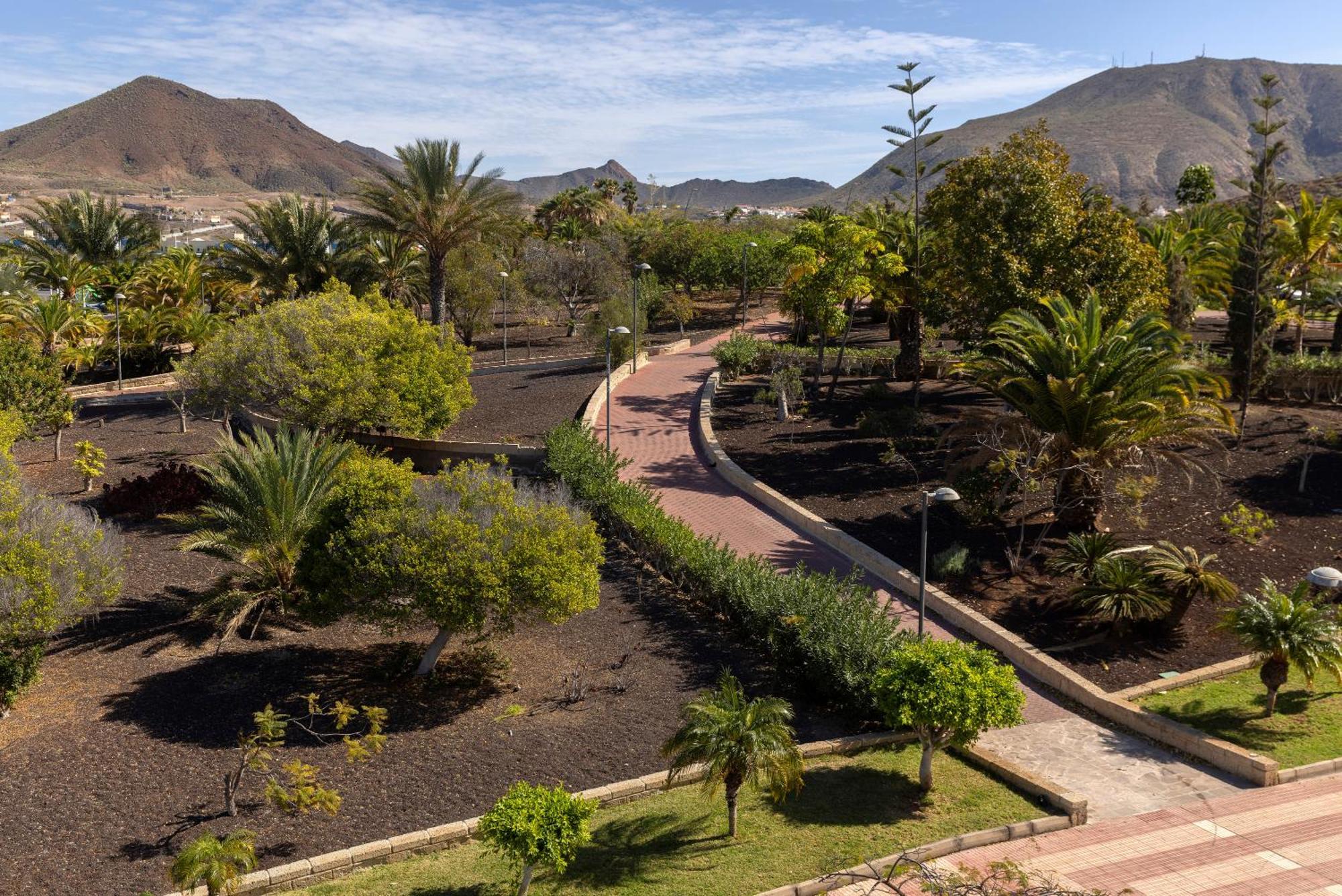 Whala!tenerife 3*