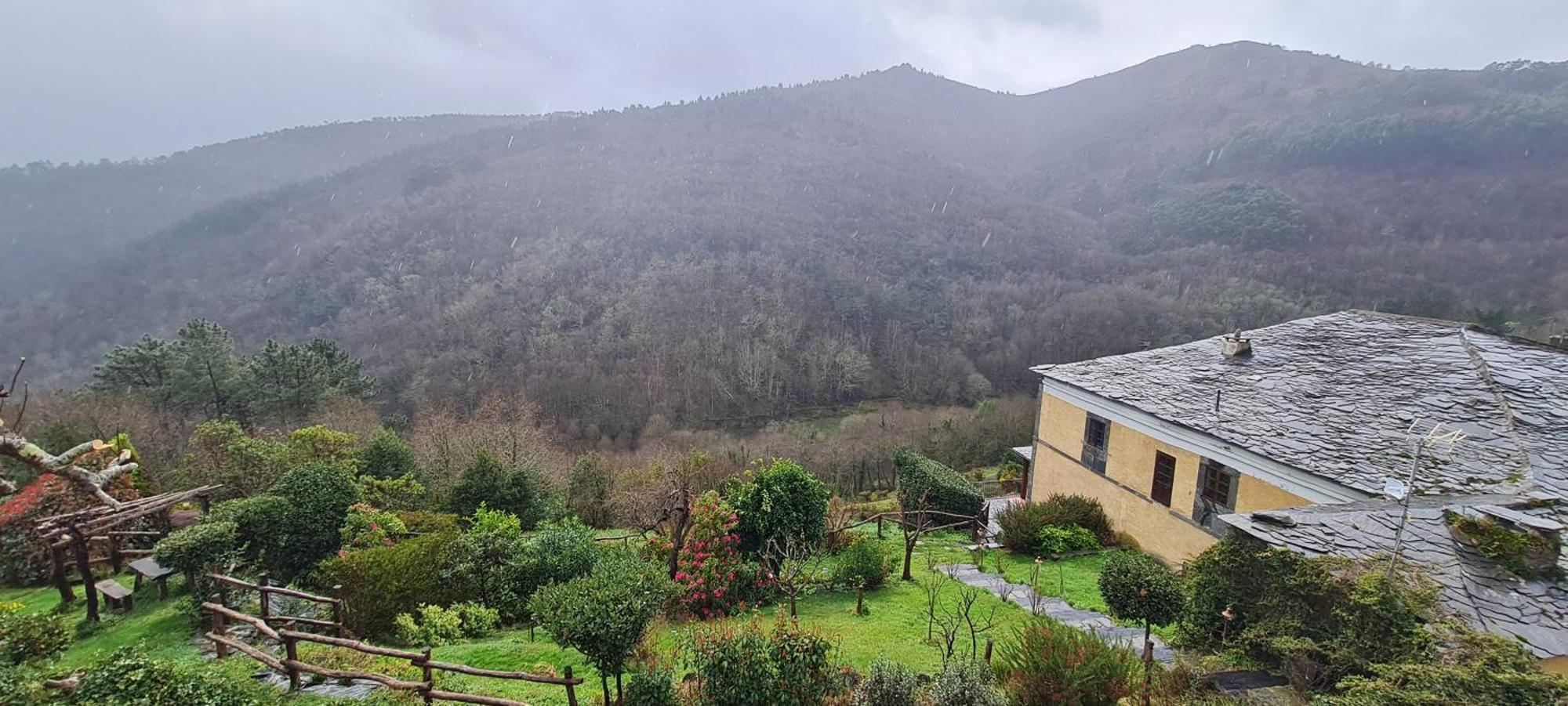 Rurales El Bosque De Vinas Apartment *