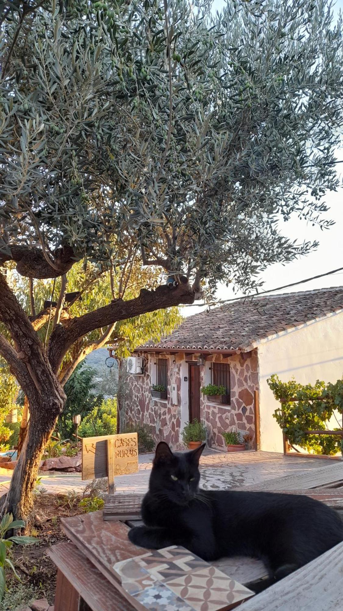 Les Eres De Casa rural