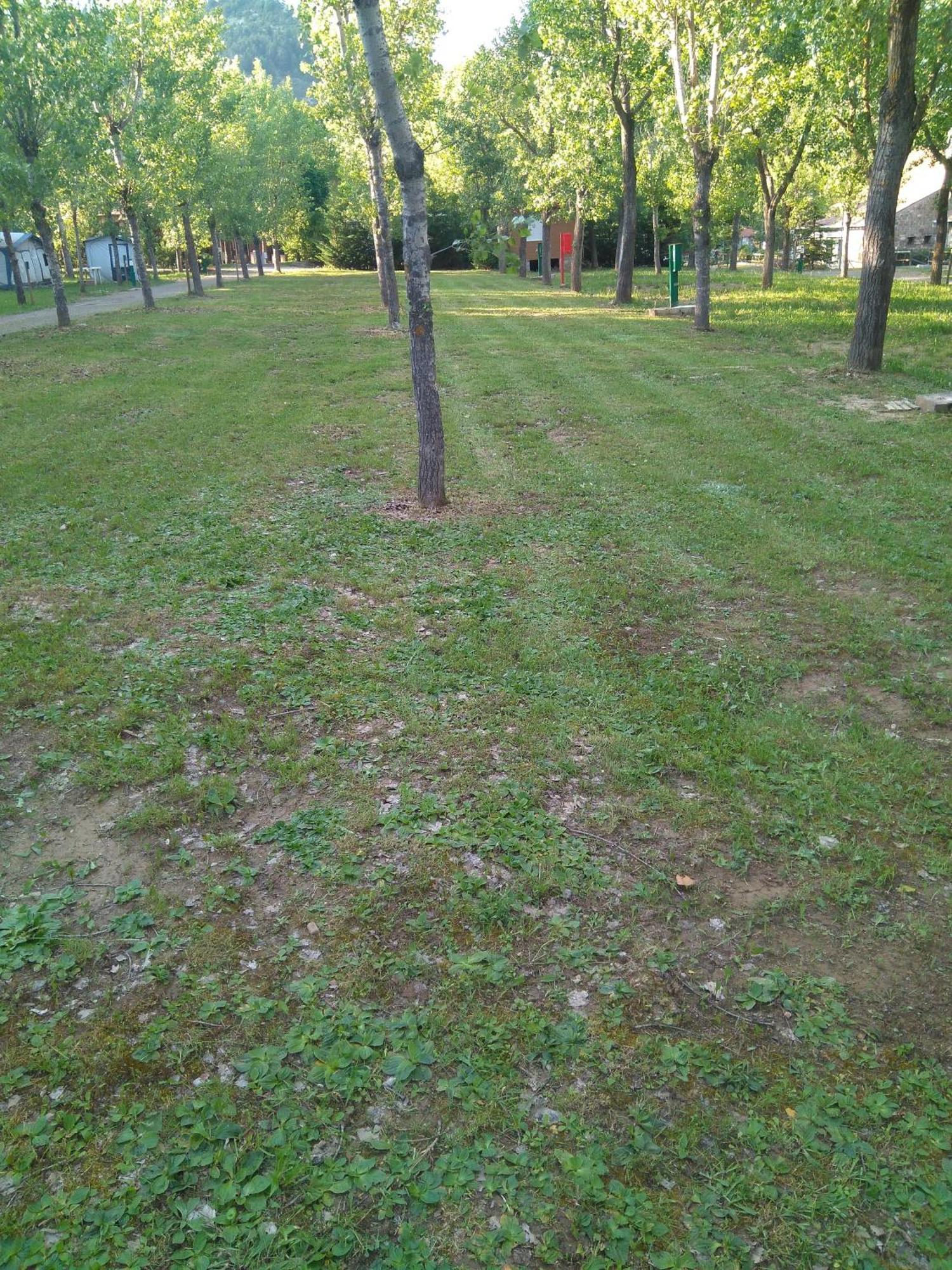Campsite Valle De *