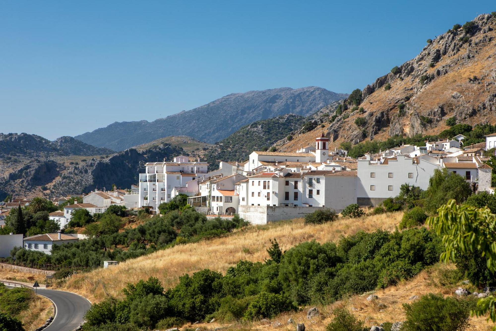 Apartamento Jaronil