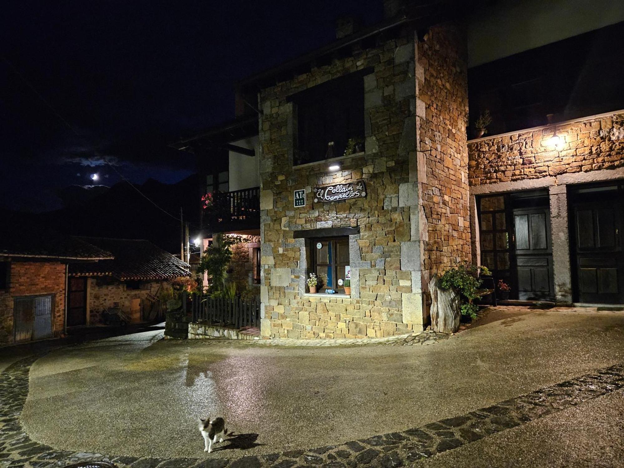 Rurales El Collaín De *