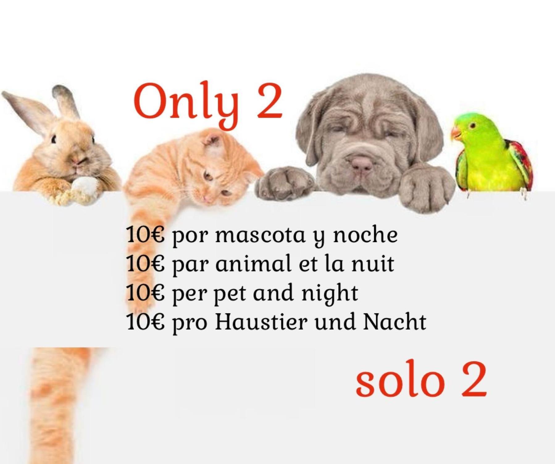 Giuliano Aparthotel 3*