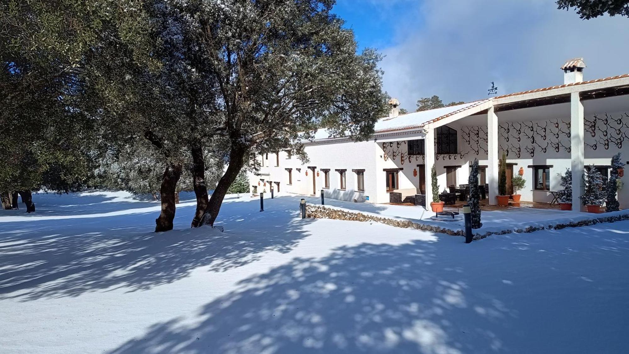 Casa rural El Pinar De La Lobera *