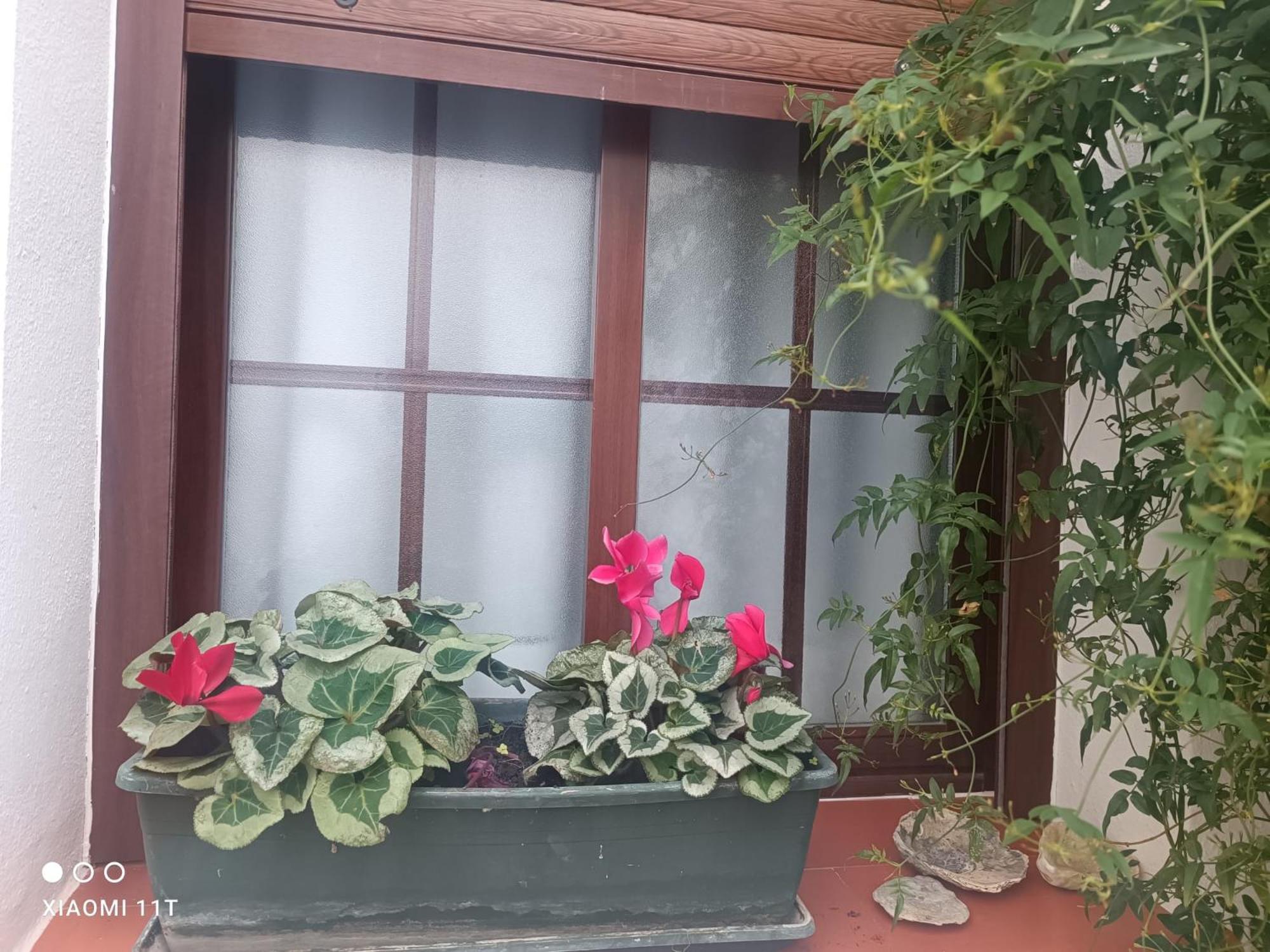 Hospederia Y Aptos Casa De Piedras Pensión
