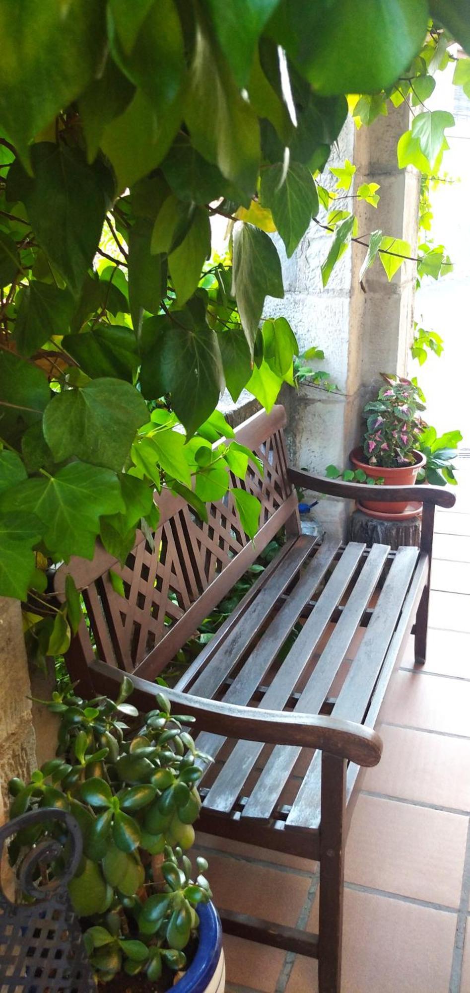 Del Medico Country house Hontoria del Pinar